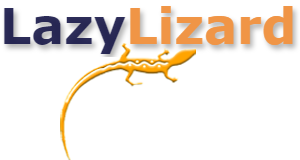 LazyLizard Internet